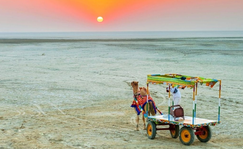 Kutch Special